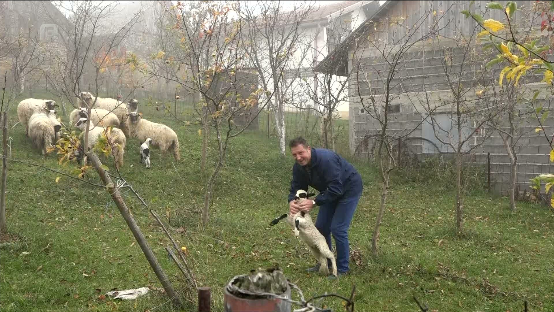 Braća Tihak u ratu su ostali bez roditelja, otad žive od ovčarstva